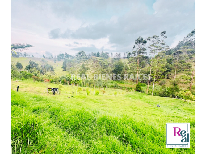 Finca en venta en Barro Blanco, Rionegro, 270 m² · foto 2 de 22
