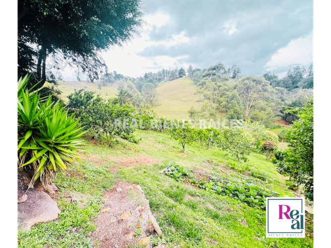 Finca en venta en Barro Blanco, Rionegro, 270 m² · foto 5 de 22