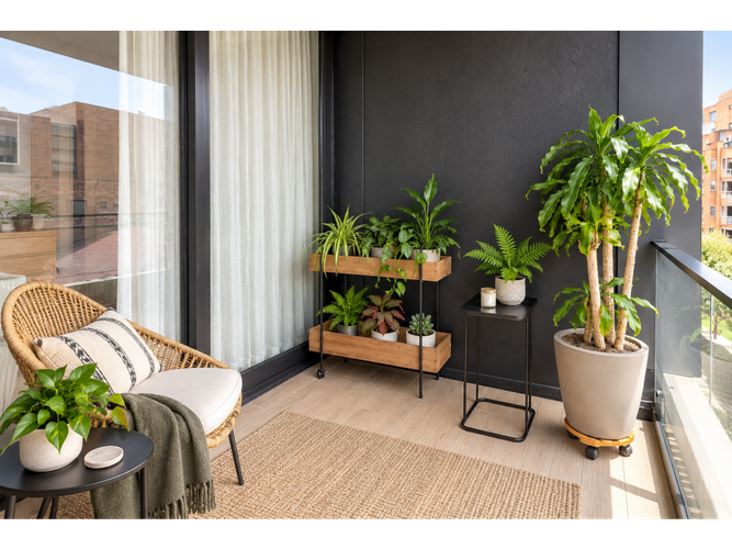 Apartamento de 3 alcobas en venta en La Cabrera, Bogotá, 242 m² · foto 13 de 20