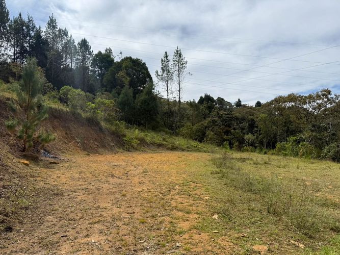 Lote en arriendo en Guapante, Guarne, 10000 m² · foto 2 de 12