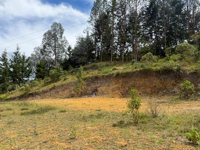 Lote en arriendo en Guapante, Guarne, 10000 m² · foto 5 de 12