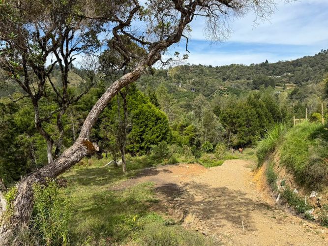 Lote en arriendo en Guapante, Guarne, 10000 m² · foto 6 de 12