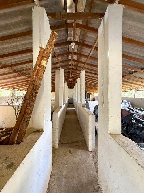 Lote en arriendo en Guapante, Guarne, 10000 m² · foto 7 de 12