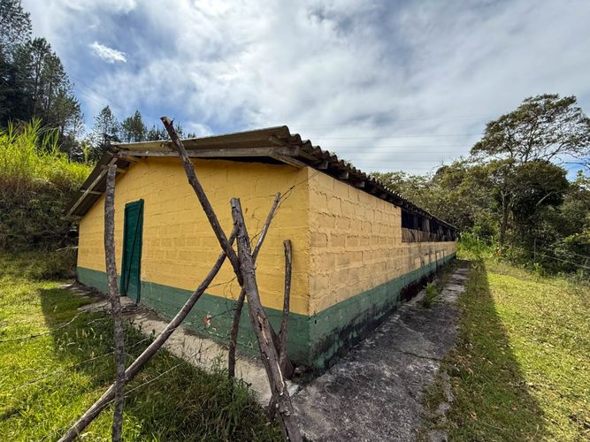 Lote en arriendo en Guapante, Guarne, 10000 m² · foto 8 de 12