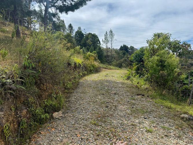 Lote en arriendo en Guapante, Guarne, 10000 m² · foto 10 de 12