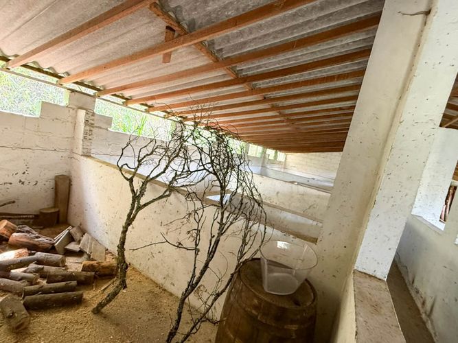 Lote en arriendo en Guapante, Guarne, 10000 m² · foto 12 de 12