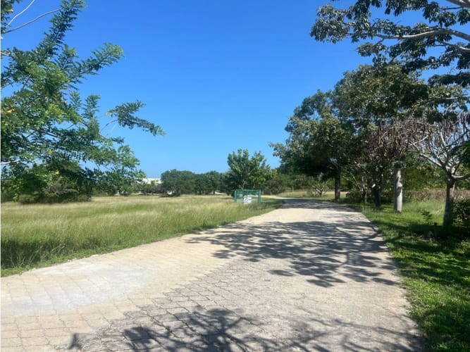 Lote en venta en Barú, Cartagena, 2223 m² · foto 17 de 24