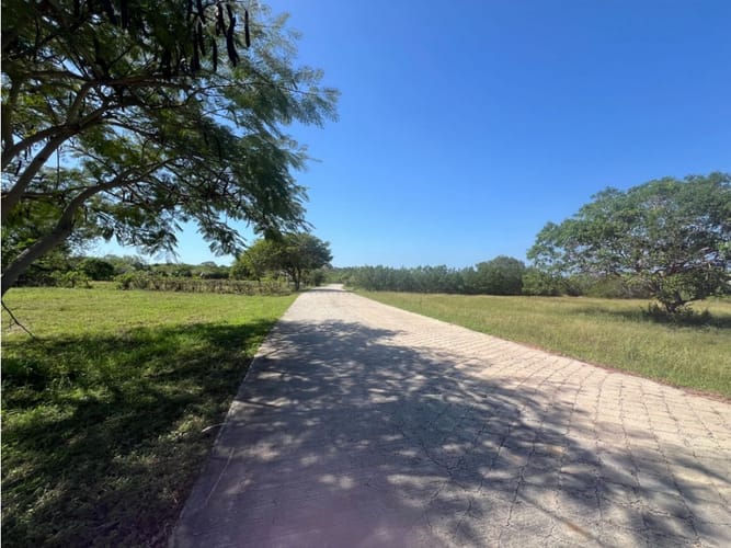 Lote en venta en Barú, Cartagena, 2223 m² · foto 21 de 24