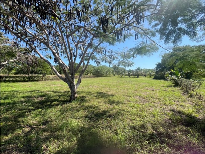 Lote en venta en Barú, Cartagena, 2223 m² · foto 24 de 24