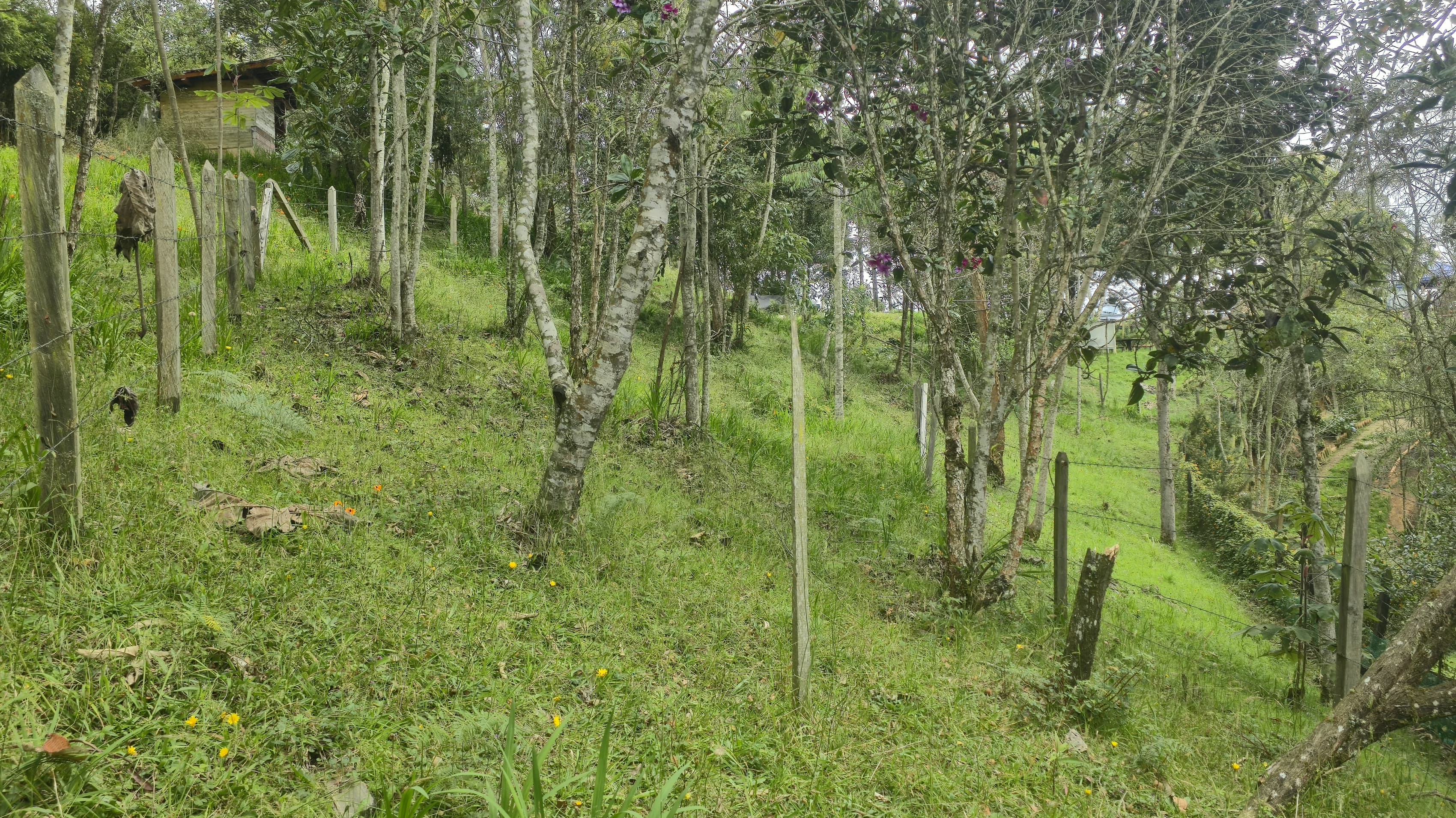 Imagem 1 do imóvel anunciado em Medellín