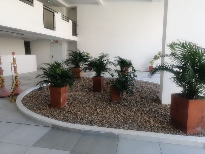 Apartamento de 3 alcobas en venta en Cd. Simon Bolivar Et. Ii, Ibagué, 114 m² · foto 7 de 24