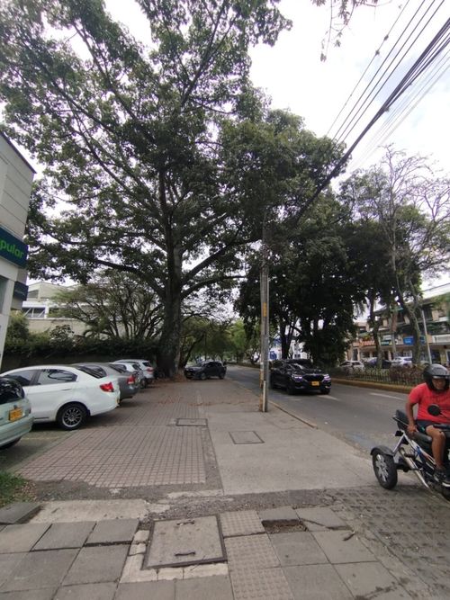 Local en arriendo en Ciudad Jardin, Cali, 272 m² · foto 2 de 24