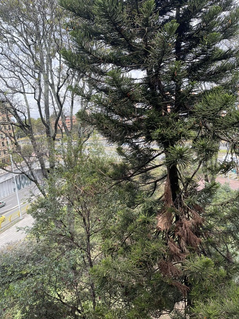 Apartamento en venta en Chico Norte, Bogotá · foto 14 de 15