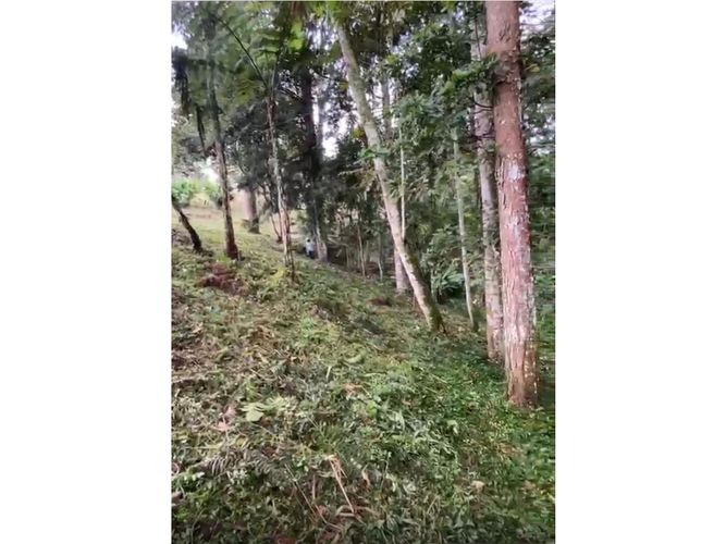 Lote en venta en Don Diego, Rionegro, 5600 m² · foto 2 de 5