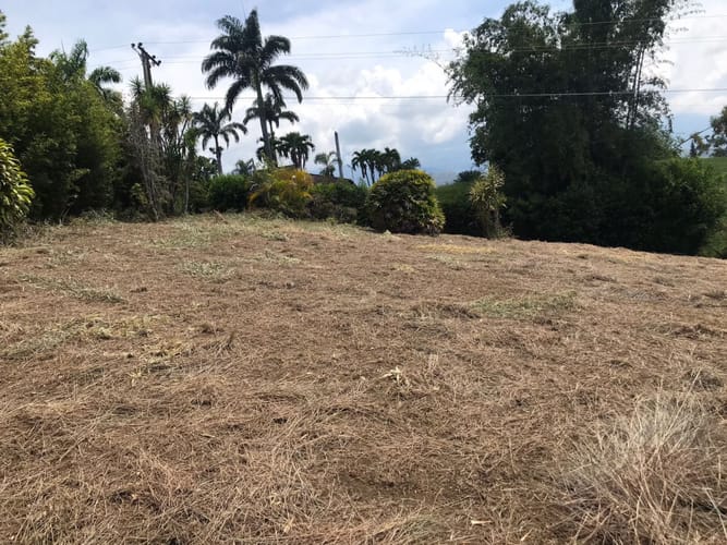 Lote en venta en Potrerito, Jamundí, 1700 m² · foto 6 de 11