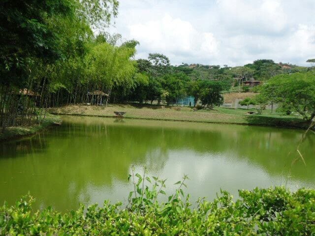 Lote en venta en Potrerito, Jamundí, 1700 m² · foto 8 de 11