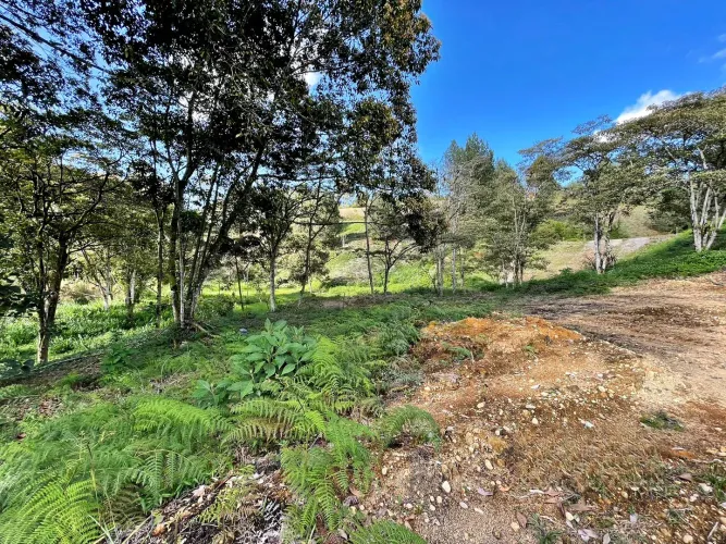 Lote en venta en El Carmen De Viboral, El Carmen de Viboral, 6111 m² · foto 5 de 11