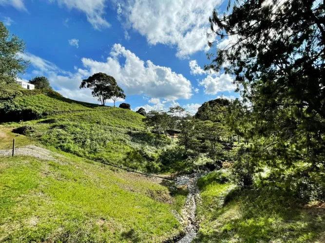 Lote en venta en El Carmen De Viboral, El Carmen de Viboral, 6111 m² · foto 6 de 11