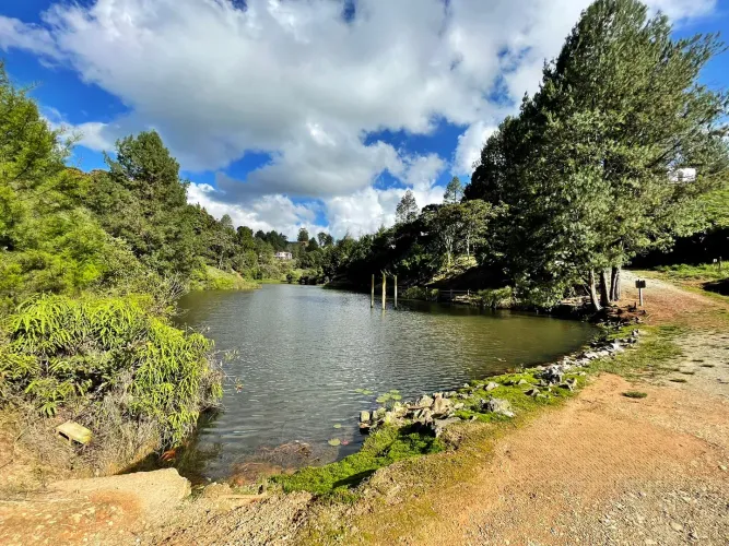 Lote en venta en El Carmen De Viboral, El Carmen de Viboral, 6111 m² · foto 8 de 11