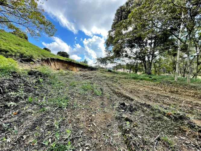 Lote en venta en El Carmen De Viboral, El Carmen de Viboral, 6111 m² · foto 9 de 11
