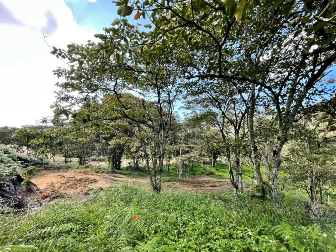 Lote en venta en El Carmen De Viboral, El Carmen de Viboral, 6111 m² · foto 10 de 11