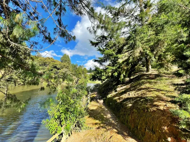 Lote en venta en El Carmen De Viboral, El Carmen de Viboral, 6111 m² · foto 11 de 11