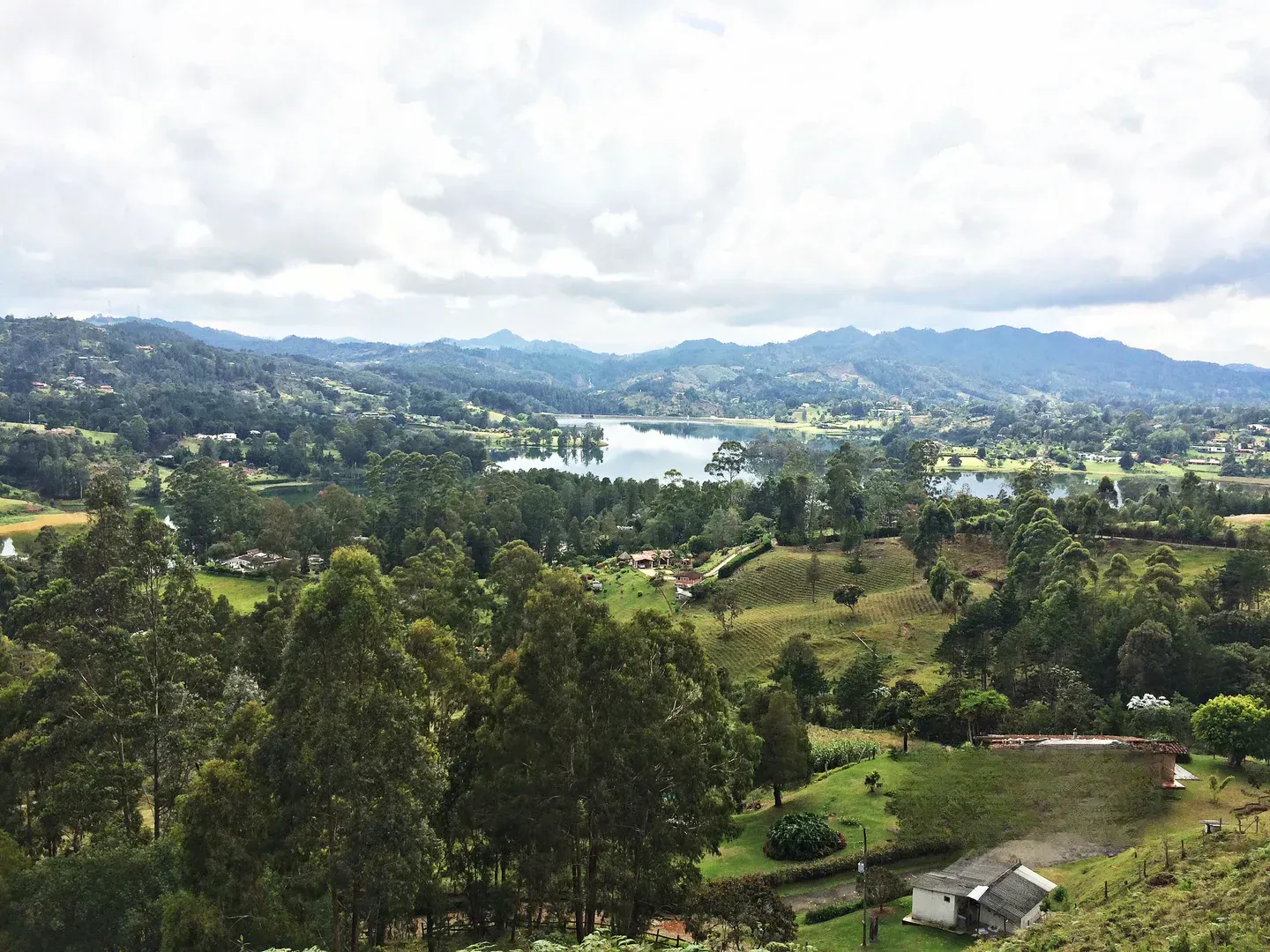 Land in Los salados for Sale - 3