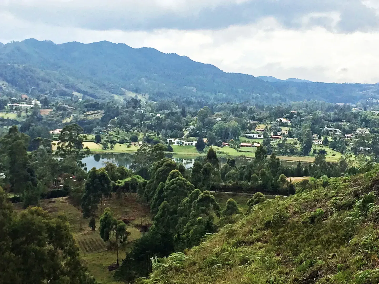Land in Los salados for Sale - 4
