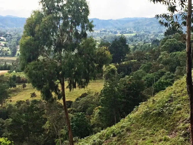 Lote en venta en Los Salados, El Retiro, 36000 m² · foto 5 de 22