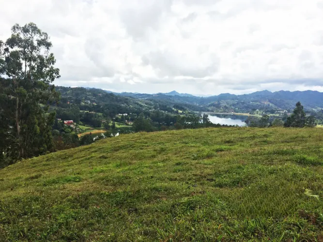 Lote en venta en Los Salados, El Retiro, 36000 m² · foto 6 de 22