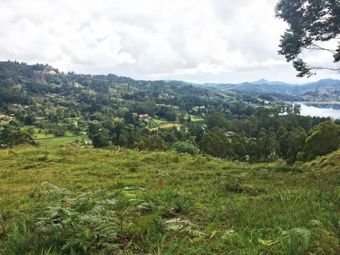 Lote en venta en Los Salados, El Retiro, 36000 m² · foto 9 de 22