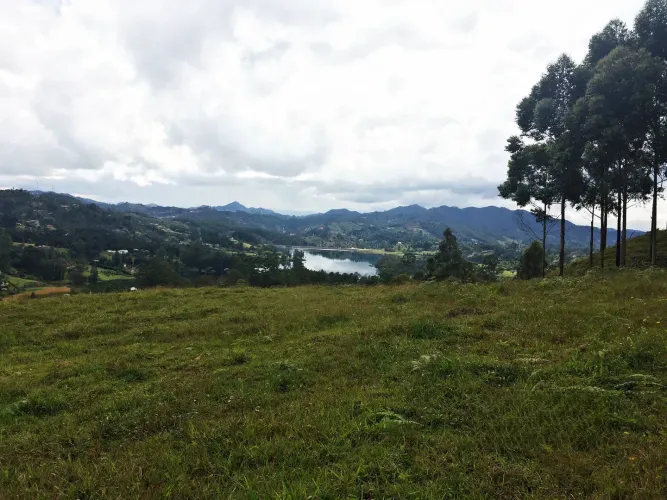 Lote en venta en Los Salados, El Retiro, 36000 m² · foto 19 de 22