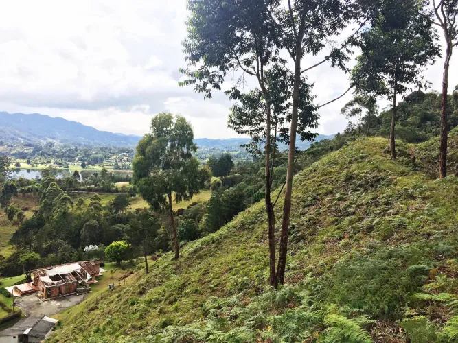 Lote en venta en Los Salados, El Retiro, 36000 m² · foto 21 de 22
