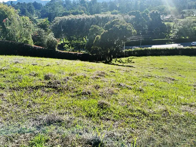 Lote en venta en Quirama, El Carmen de Viboral, 3800 m² · foto 4 de 23