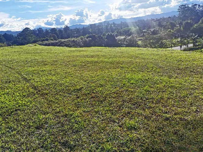 Lote en venta en Quirama, El Carmen de Viboral, 3800 m² · foto 6 de 23