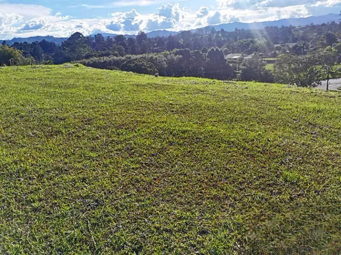 Lote en venta en Quirama, El Carmen de Viboral, 3800 m² · foto 9 de 23