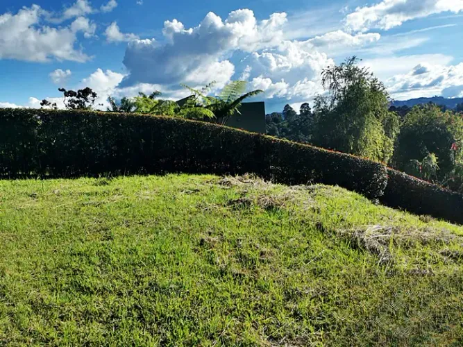 Lote en venta en Quirama, El Carmen de Viboral, 3800 m² · foto 11 de 23