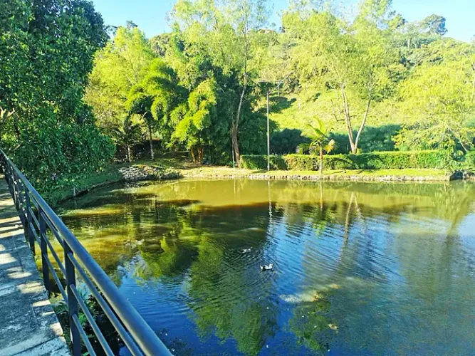 Lote en venta en Quirama, El Carmen de Viboral, 3800 m² · foto 17 de 23