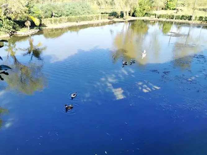 Lote en venta en Quirama, El Carmen de Viboral, 3800 m² · foto 21 de 23