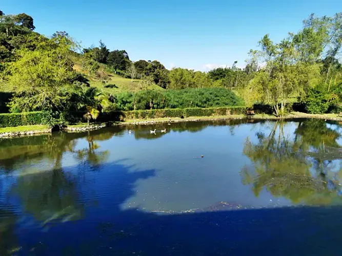 Lote en venta en Quirama, El Carmen de Viboral, 3800 m² · foto 23 de 23