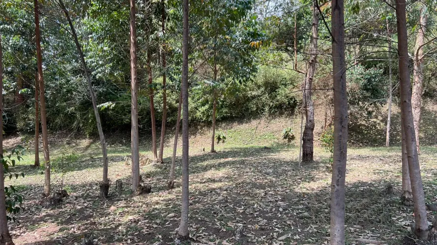 Lote en venta en El Tablazo, Rionegro, 5744 m² · foto 5 de 11