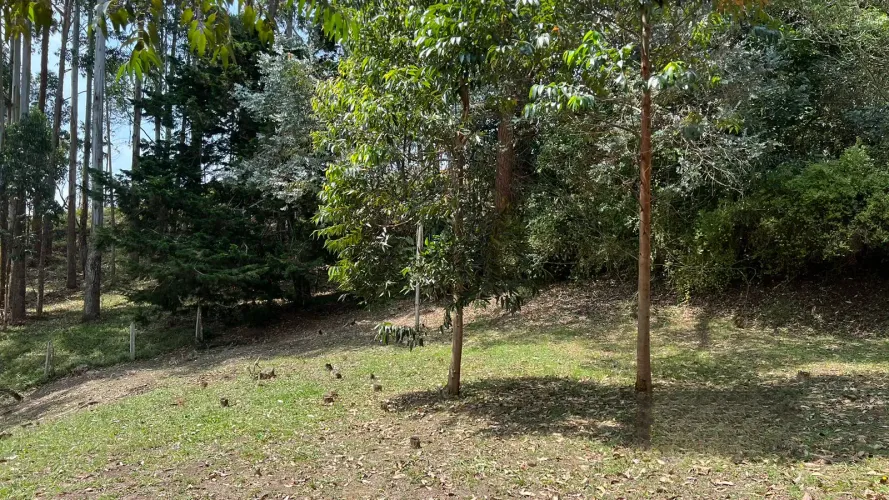 Lote en venta en El Tablazo, Rionegro, 5744 m² · foto 8 de 11