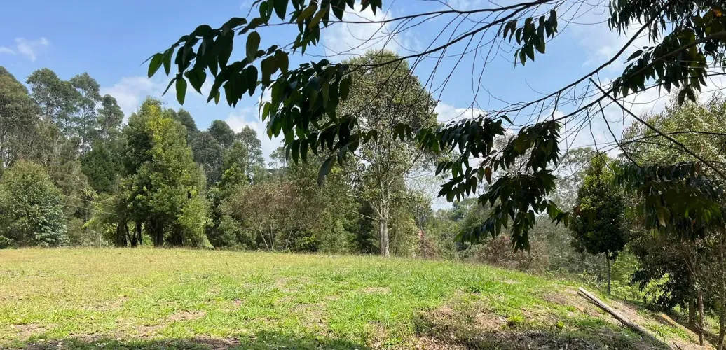 Lote en venta en El Tablazo, Rionegro, 5744 m² · foto 9 de 11