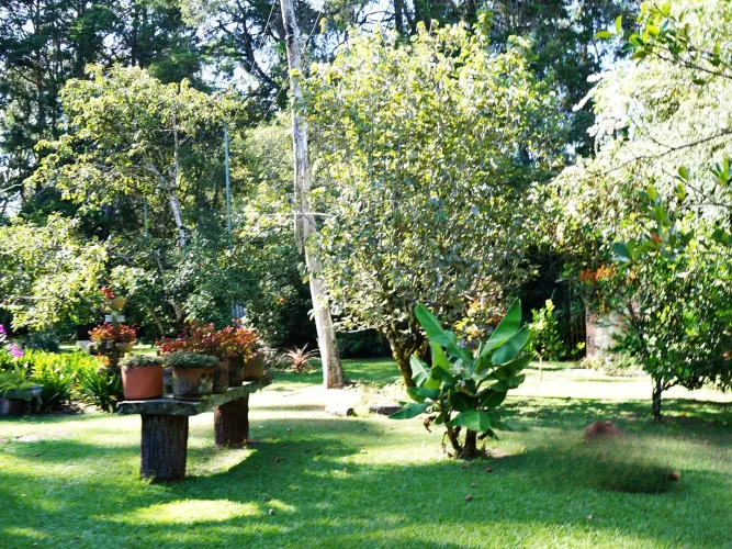 Finca en venta en Barro Blanco, Rionegro, 61500 m² · foto 8 de 24