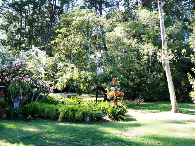 Finca en venta en Barro Blanco, Rionegro, 61500 m² · foto 10 de 24