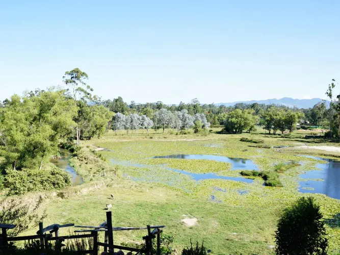 Finca en venta en Barro Blanco, Rionegro, 61500 m² · foto 11 de 24