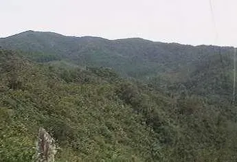 Finca en venta en El Carmen, El Retiro · foto 5 de 19