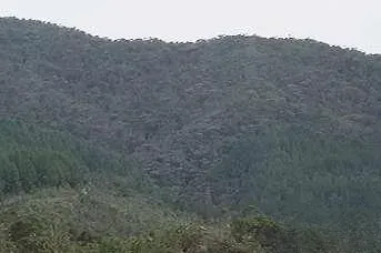 Finca en venta en El Carmen, El Retiro · foto 6 de 19
