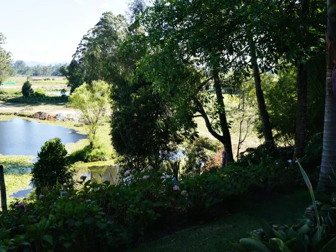 Finca en venta en Barro Blanco, Rionegro, 61500 m² · foto 12 de 24