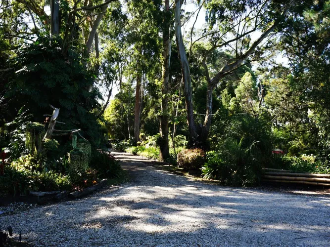 Finca en venta en Barro Blanco, Rionegro, 61500 m² · foto 13 de 24